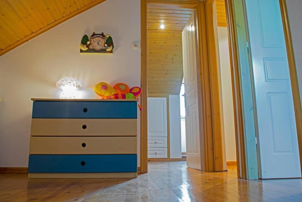 הוילה Pinakokhorion Ostria House מראה חיצוני תמונה