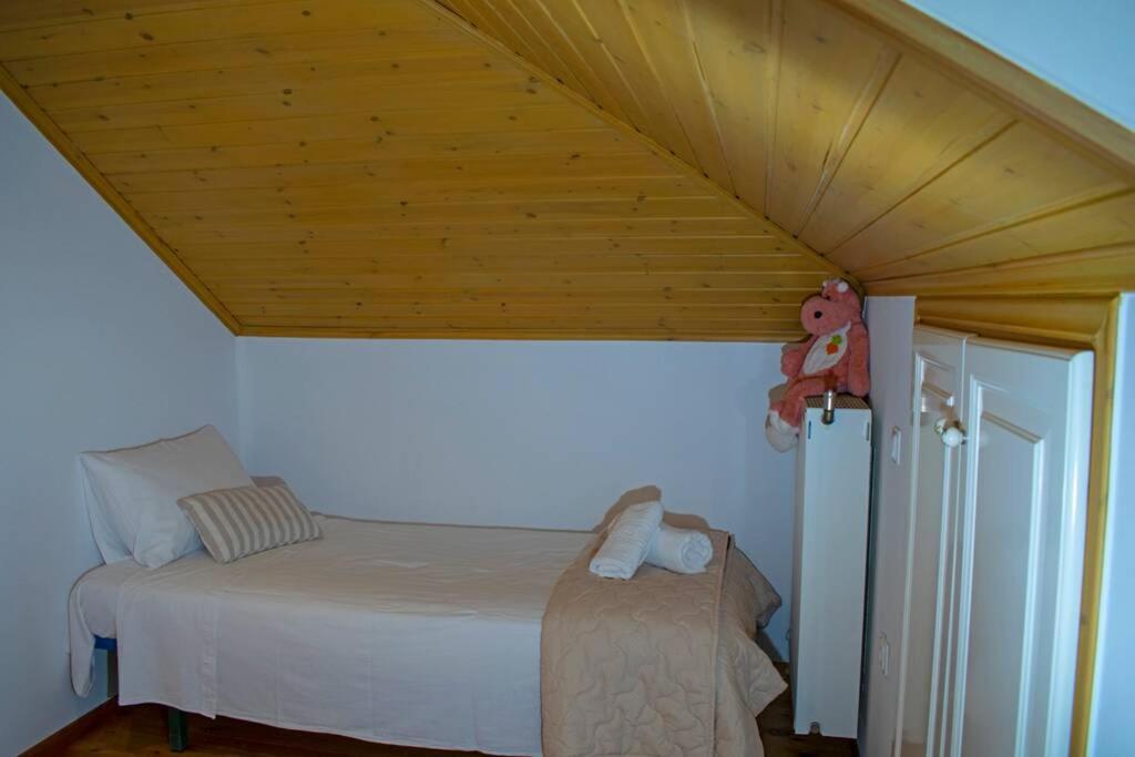 הוילה Pinakokhorion Ostria House מראה חיצוני תמונה